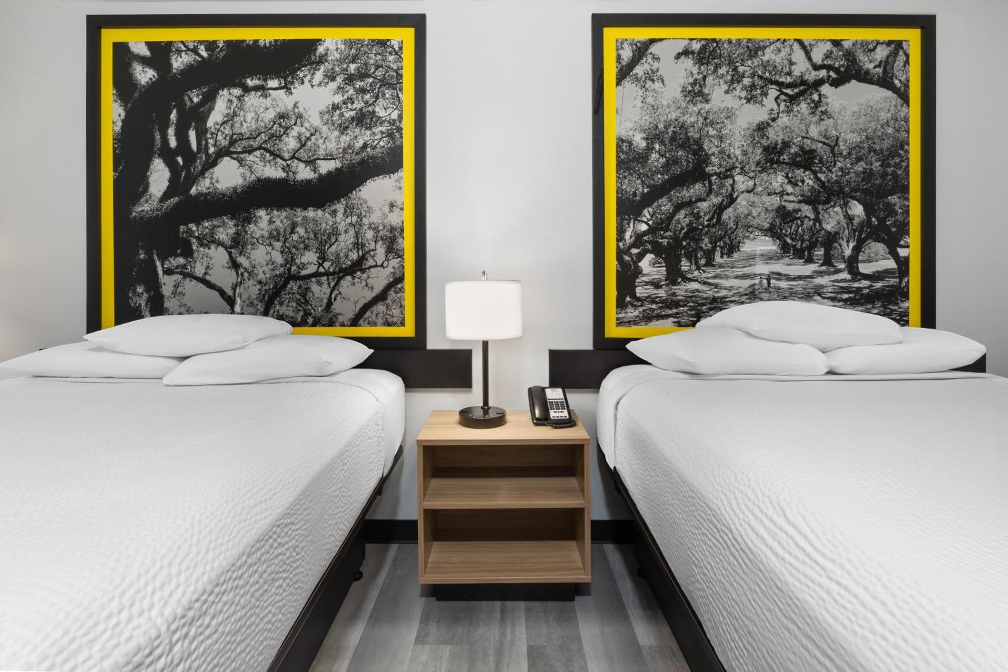 Hotel Super 8 By Wyndham Alexandria La Zewnętrze zdjęcie